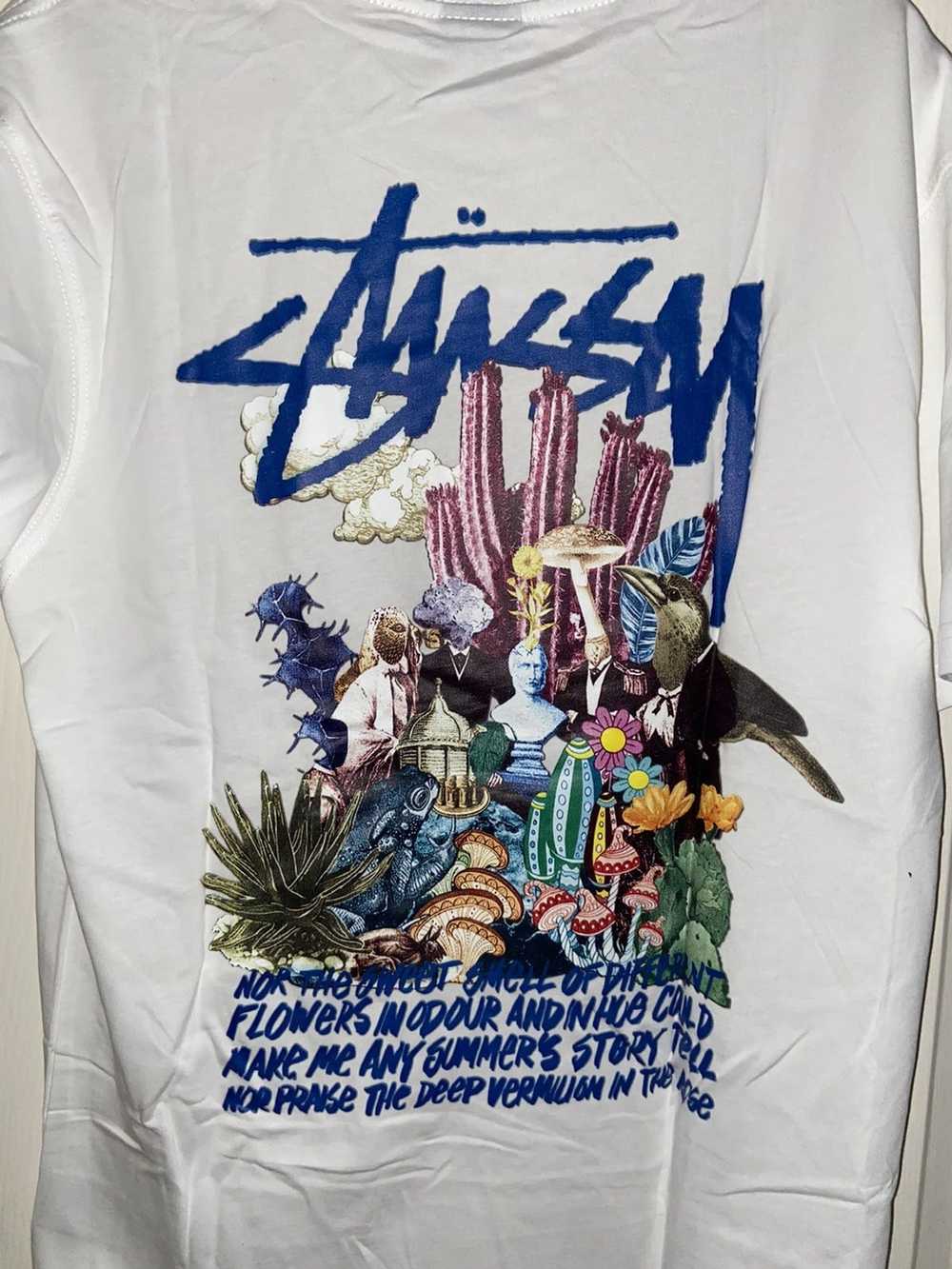 raffle stussy