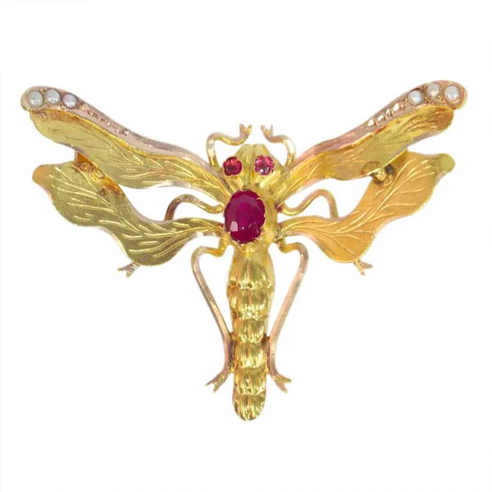 Vintage antique Victorian insect brooch with rubi… - image 5