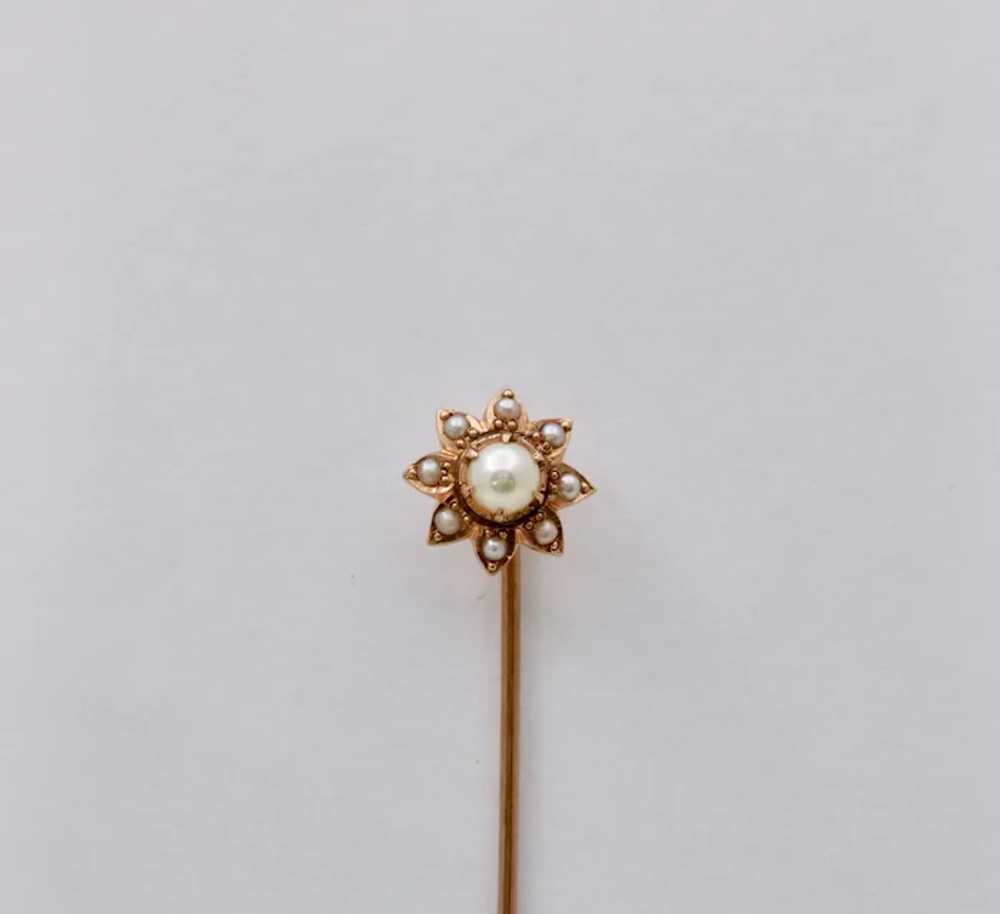 Antique 14K Yellow Gold Pearls Flower Stick Pin - image 2