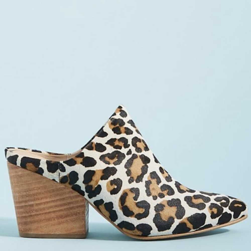 Anthropologie ANTHROPOLOGIE "Able" Calf Hair Leop… - image 9