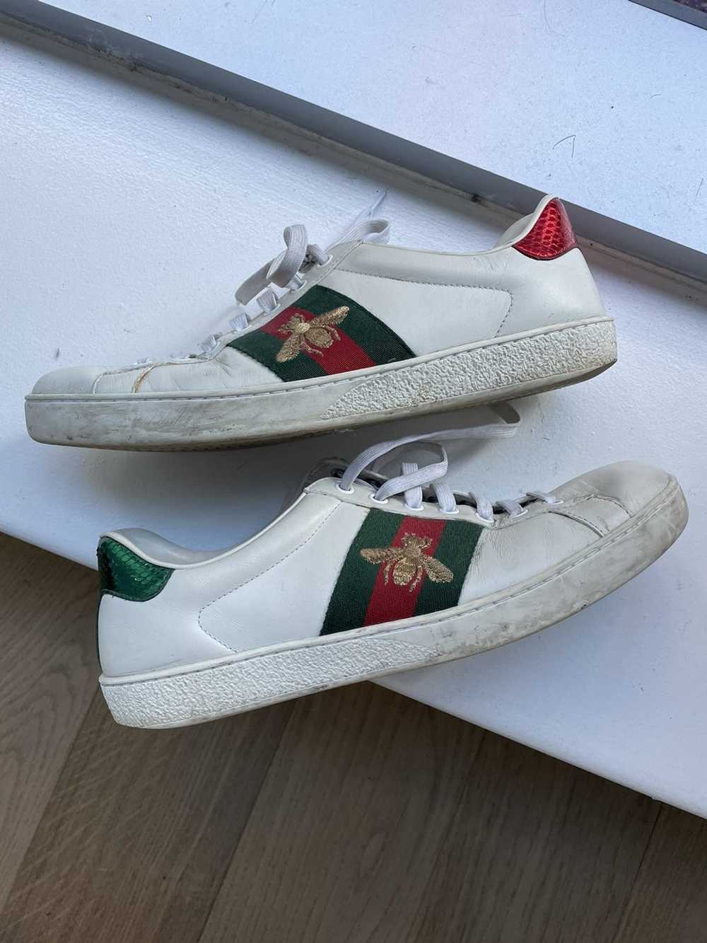 Gucci Gucci Ace Sneakers - image 1