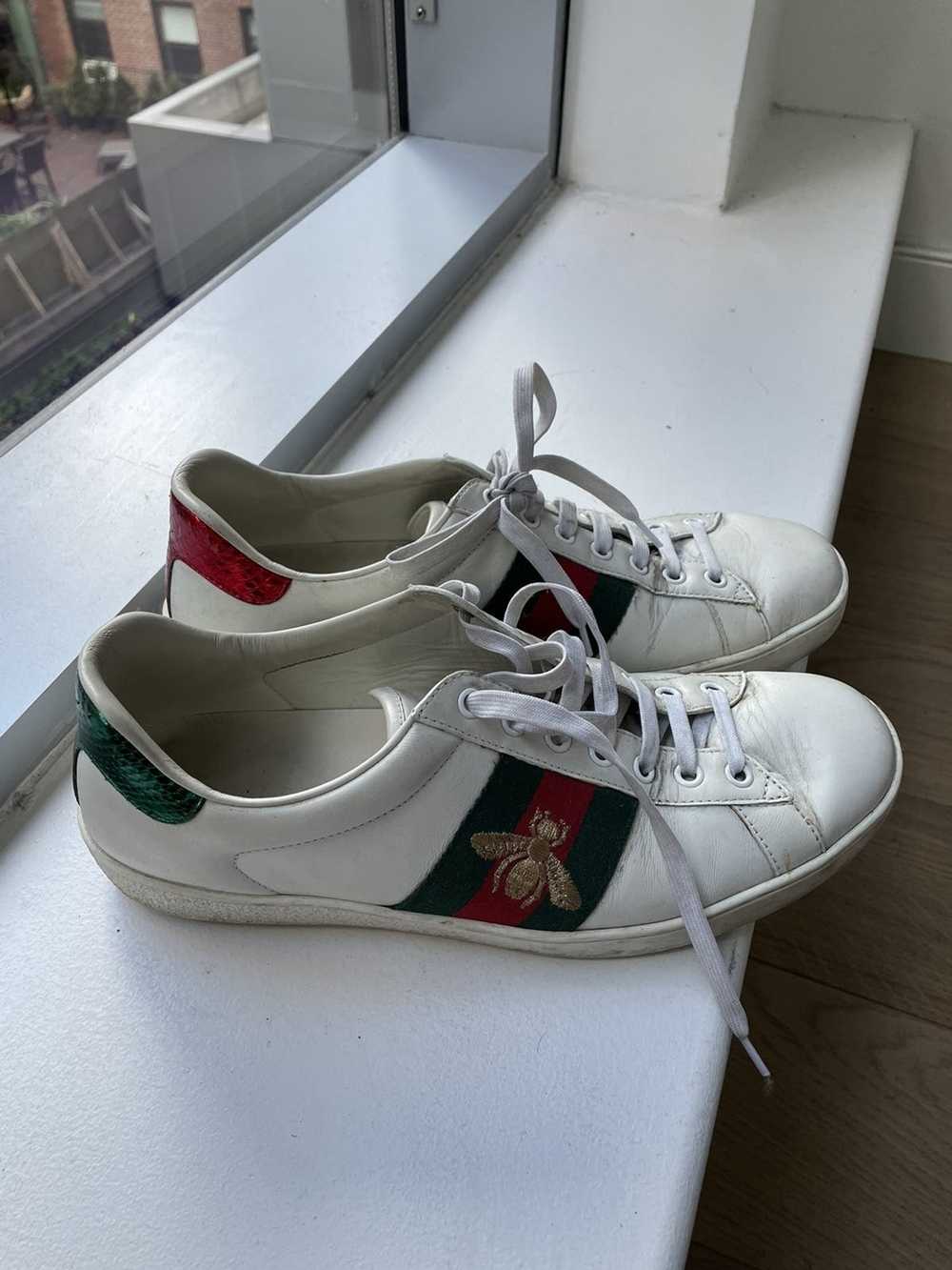 Gucci Gucci Ace Sneakers - image 8