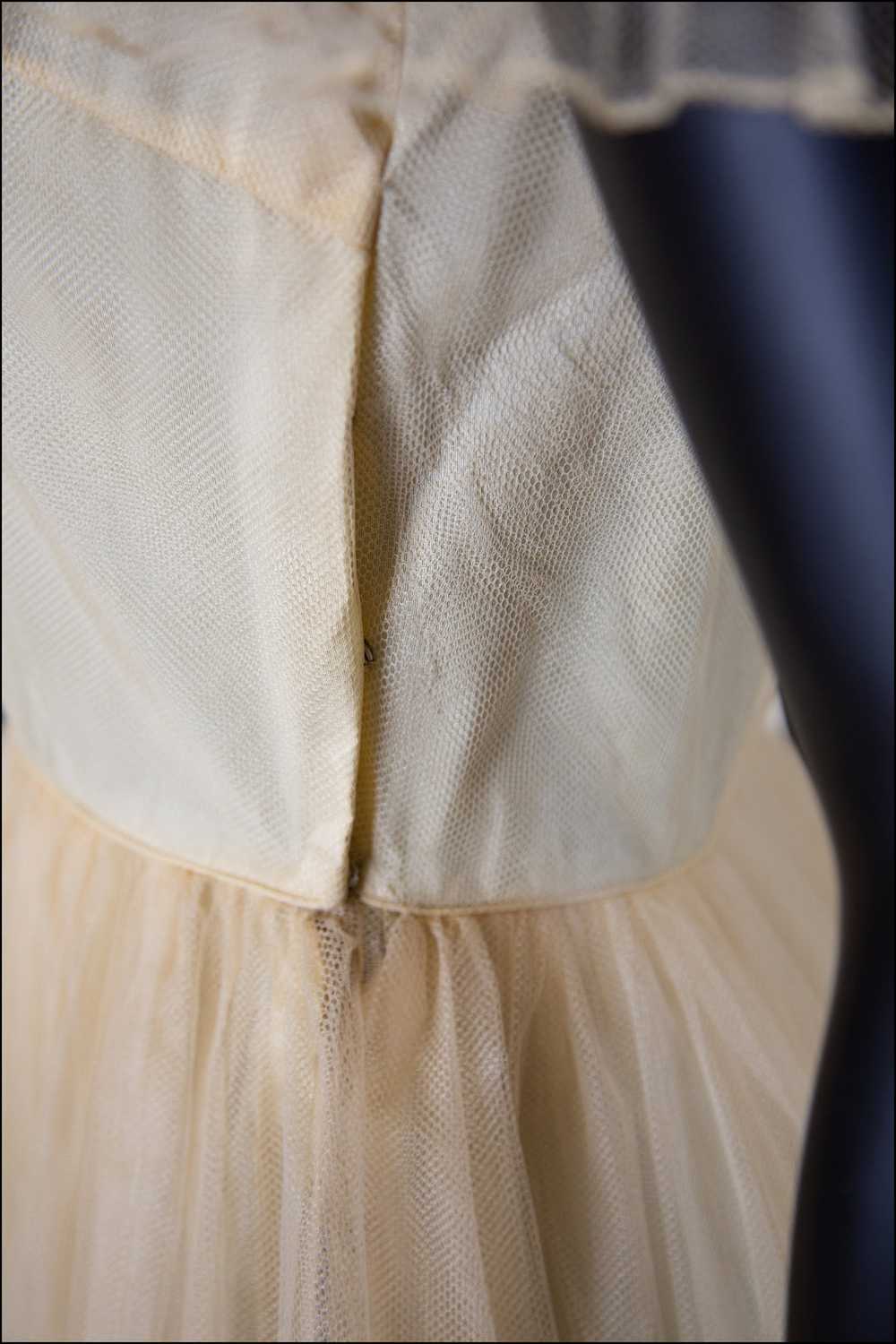 Vintage 1930s Champagne Tulle Gown - image 10