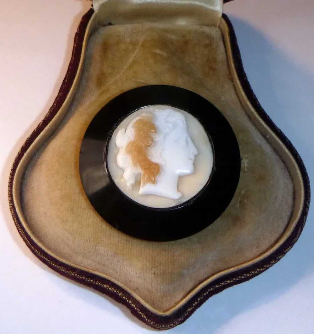 Antique Whitby Jet Shell Cameo Mourning Pin - image 5