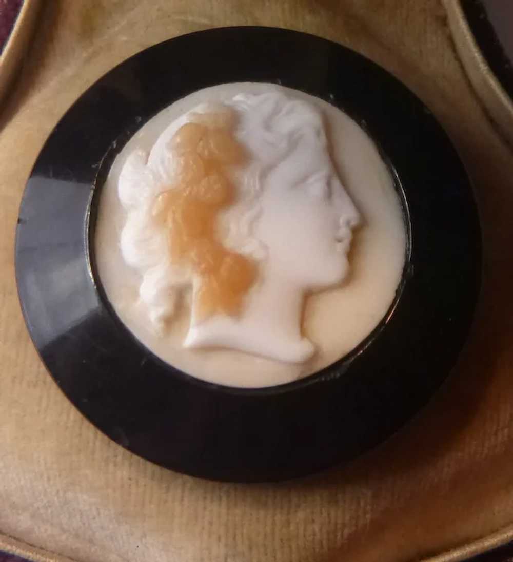 Antique Whitby Jet Shell Cameo Mourning Pin - image 6