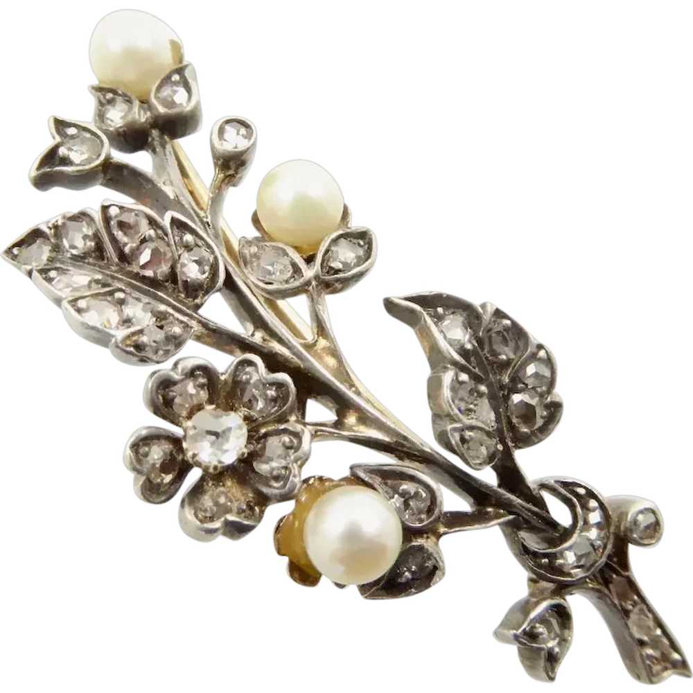 Antique Diamond and Pearl Floral Spray Brooch - image 1