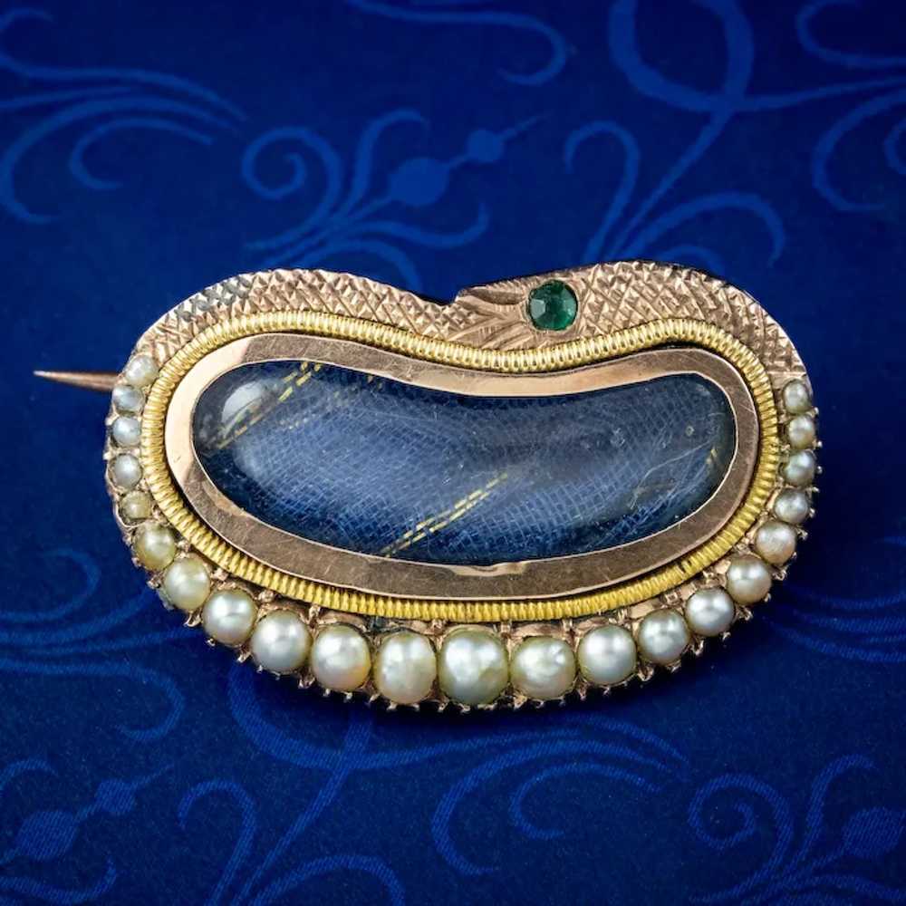 Antique Georgian Mourning Pearl Snake Brooch With… - image 3
