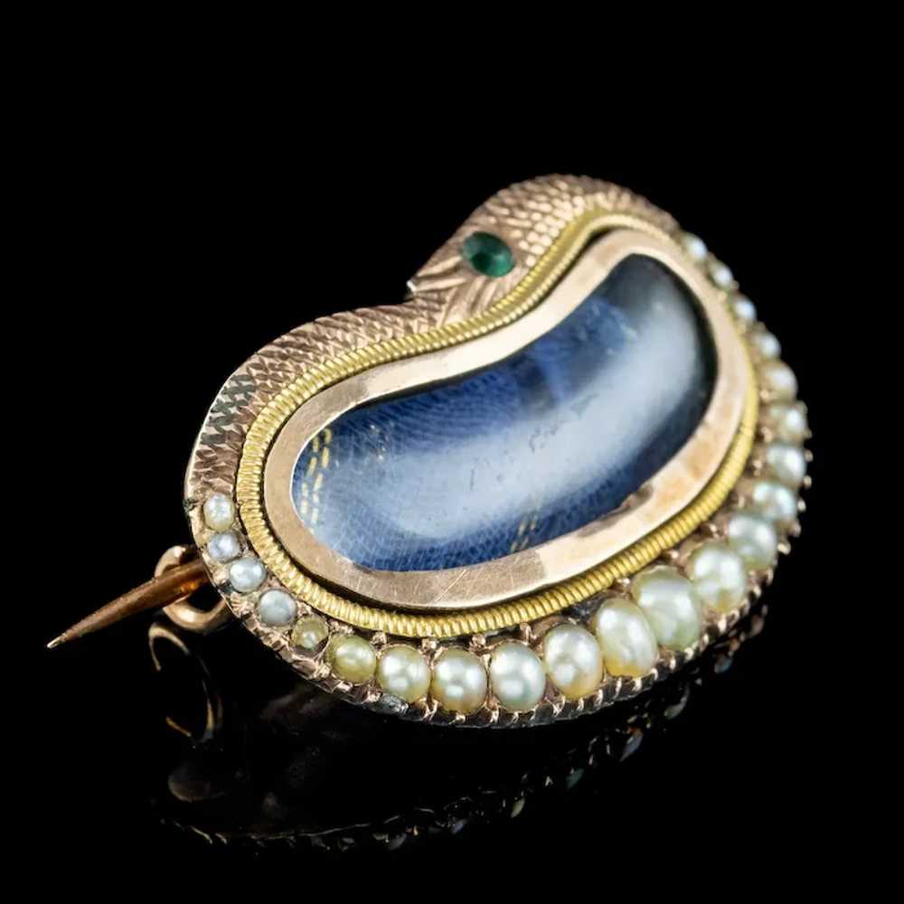 Antique Georgian Mourning Pearl Snake Brooch With… - image 4