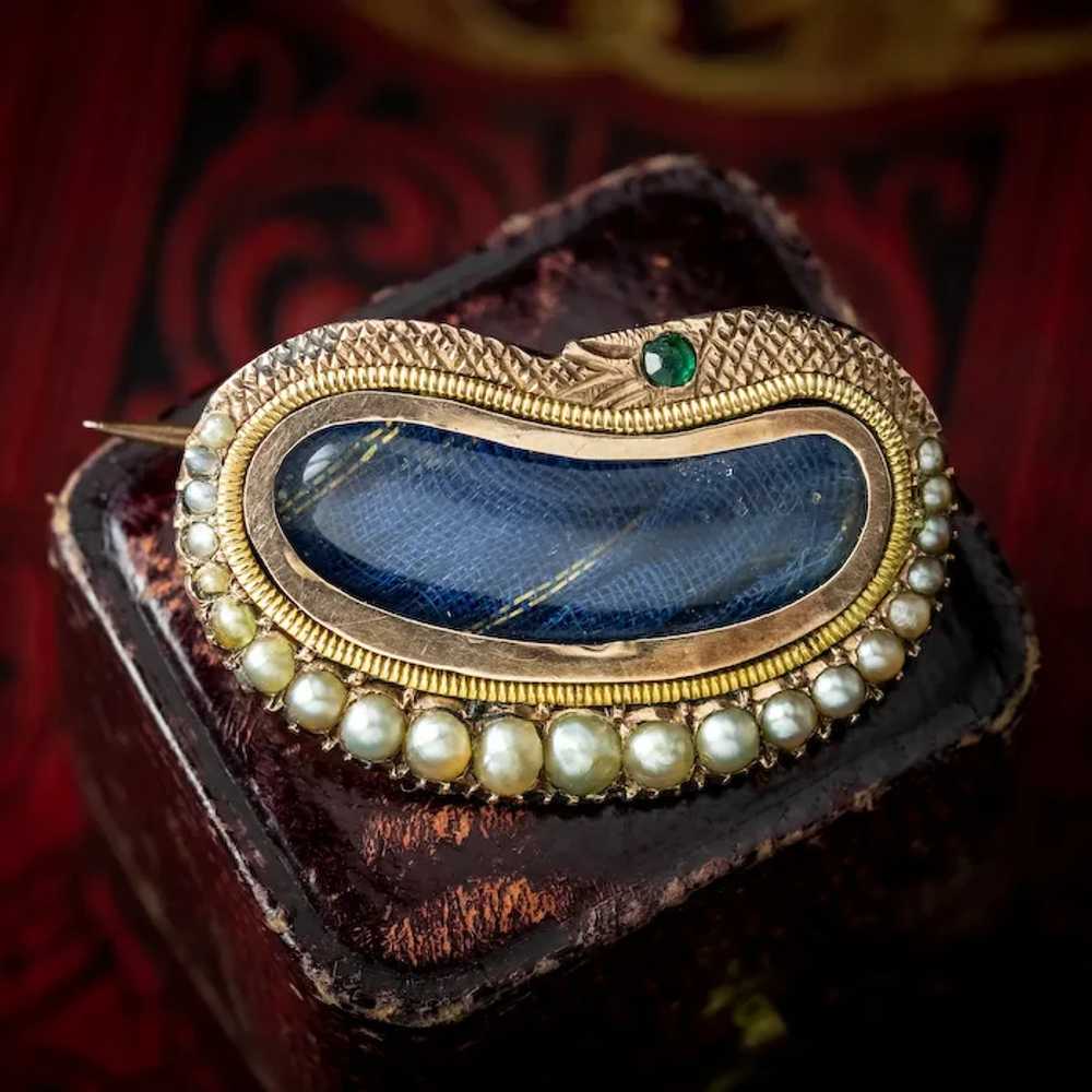 Antique Georgian Mourning Pearl Snake Brooch With… - image 7