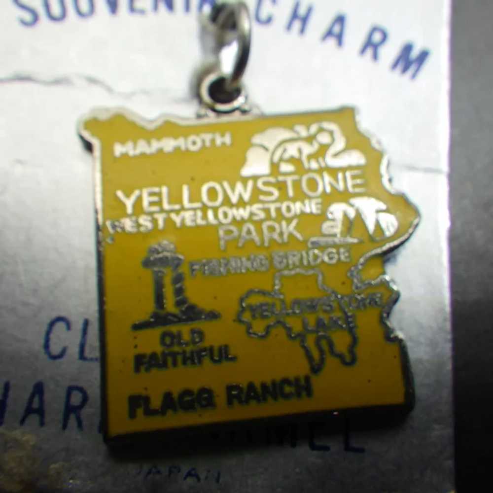 1950s Souvenir Charm, Enamel Face, Yellowstone Na… - image 4