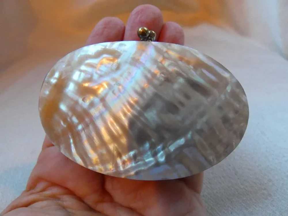 Antique Victorian Mother of Pearl Shell Coin Purse - image 8