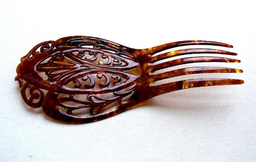 Late Victorian hair comb faux shell scroll design… - image 5