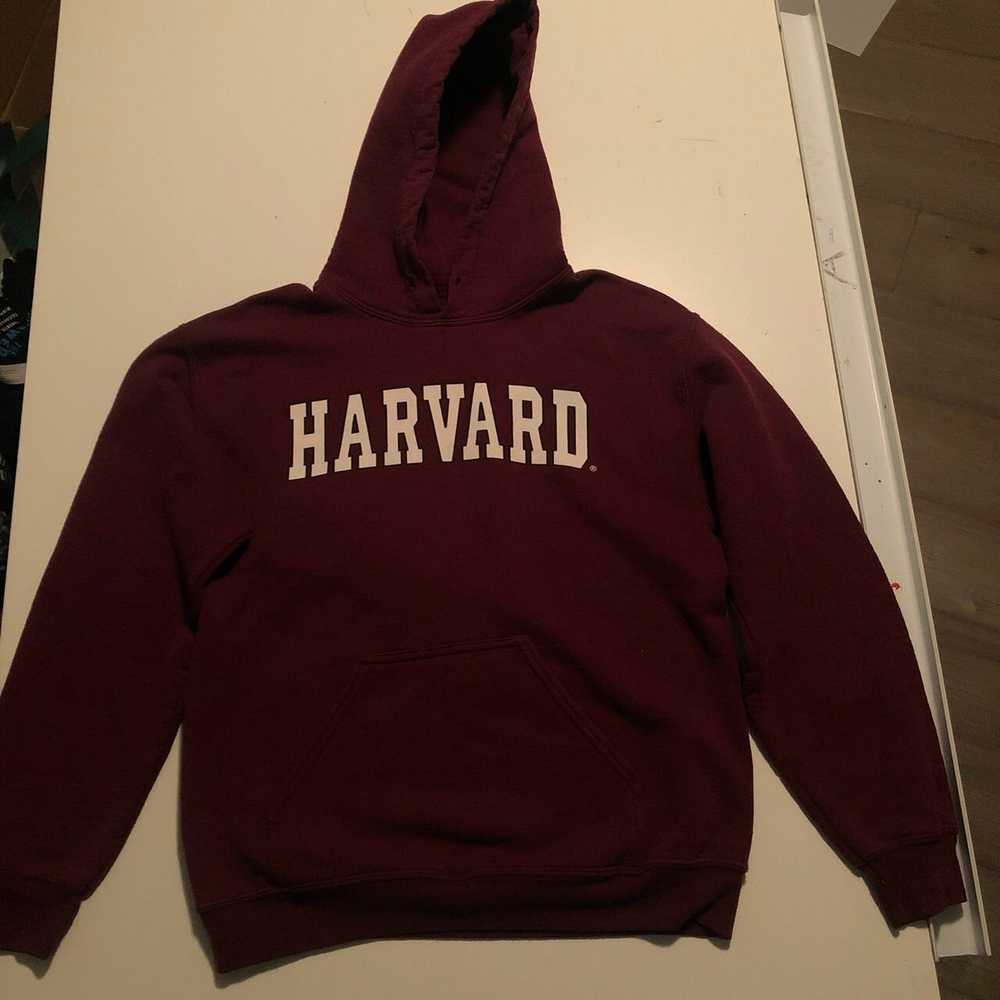 Gildan Harvard University Sweater - Gem