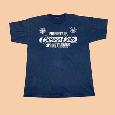 Vintage Vintage 2005 Chicago Cubs faded t-shirt - image 1