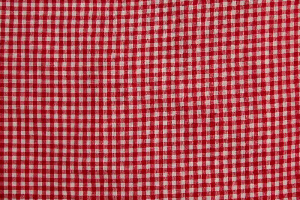1950s Penney's Towncraft Gingham Loop Collar Shirt - image 2