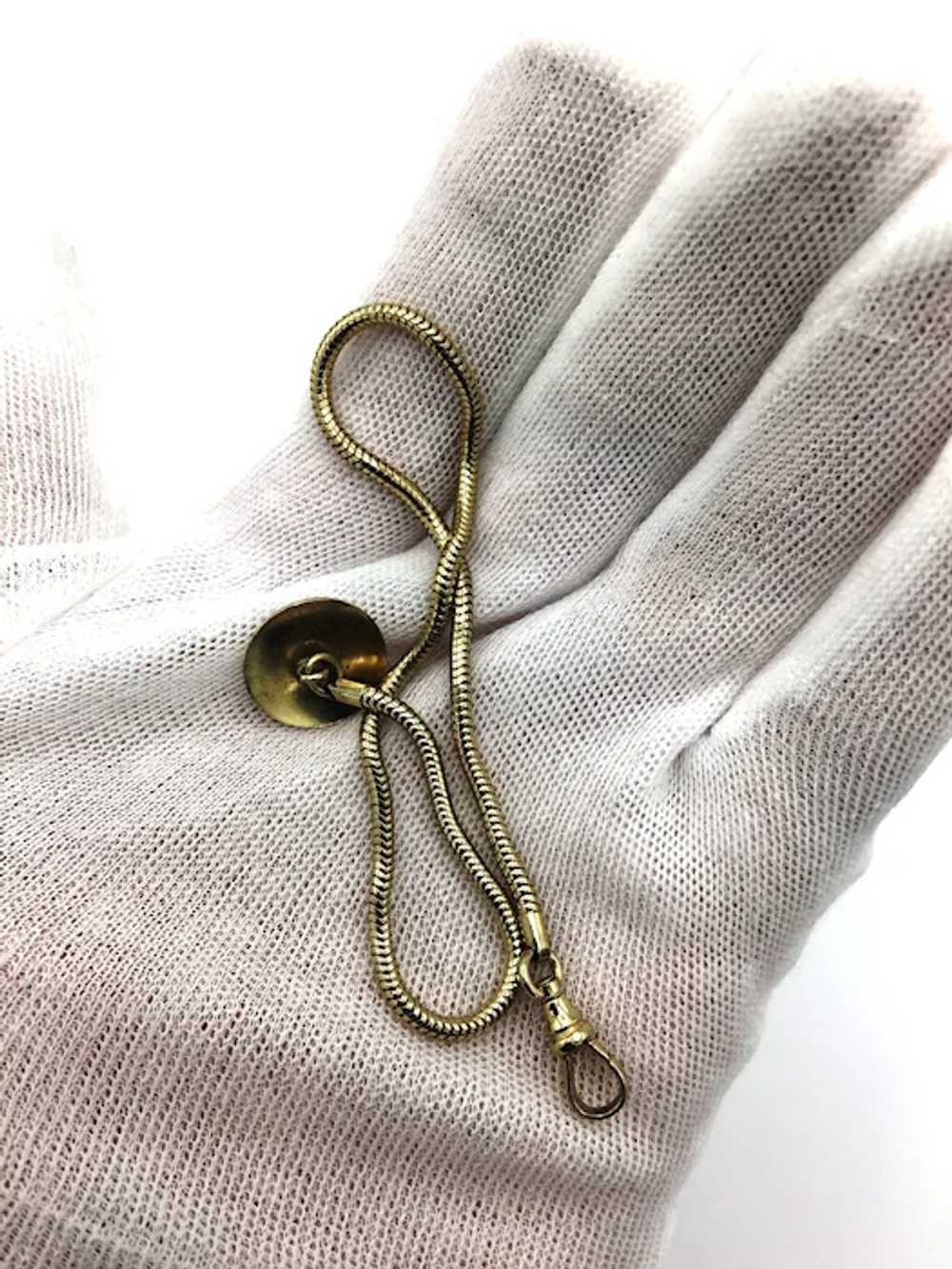 Snake Charm Holder Necklace