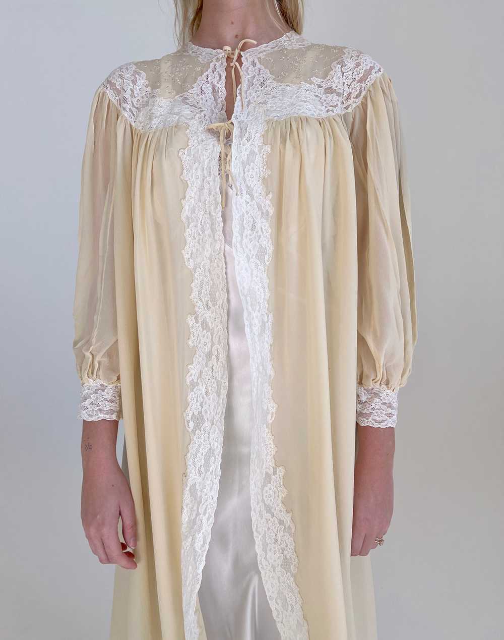 1930's Buttercream Silk Chiffon Hand Embroidered … - image 3