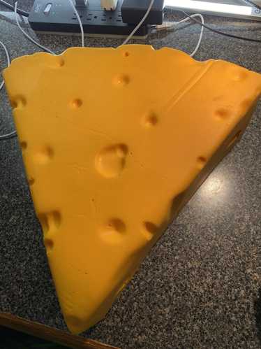 Very Rare Wisconsin cheese hat