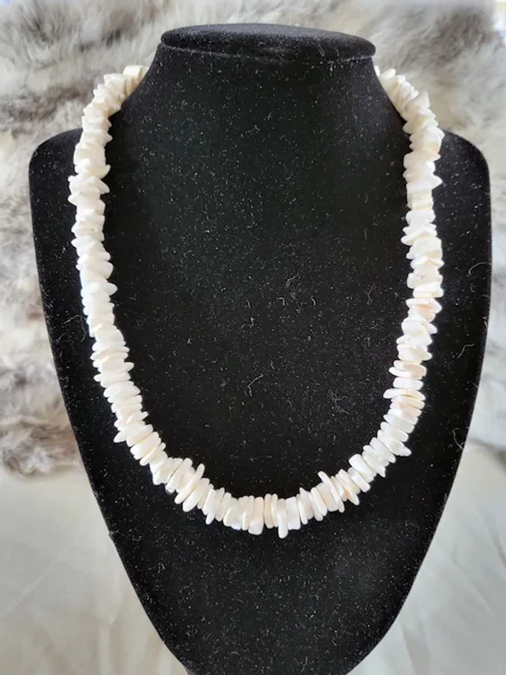 Surfer Conch Sea Shell Necklace 1980's Vintage - image 2