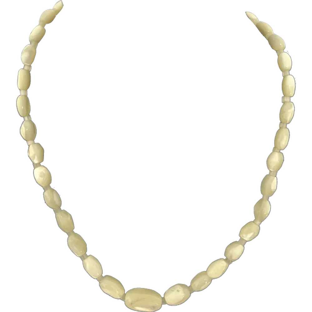 Beautiful Vintage Shell Necklace - image 1