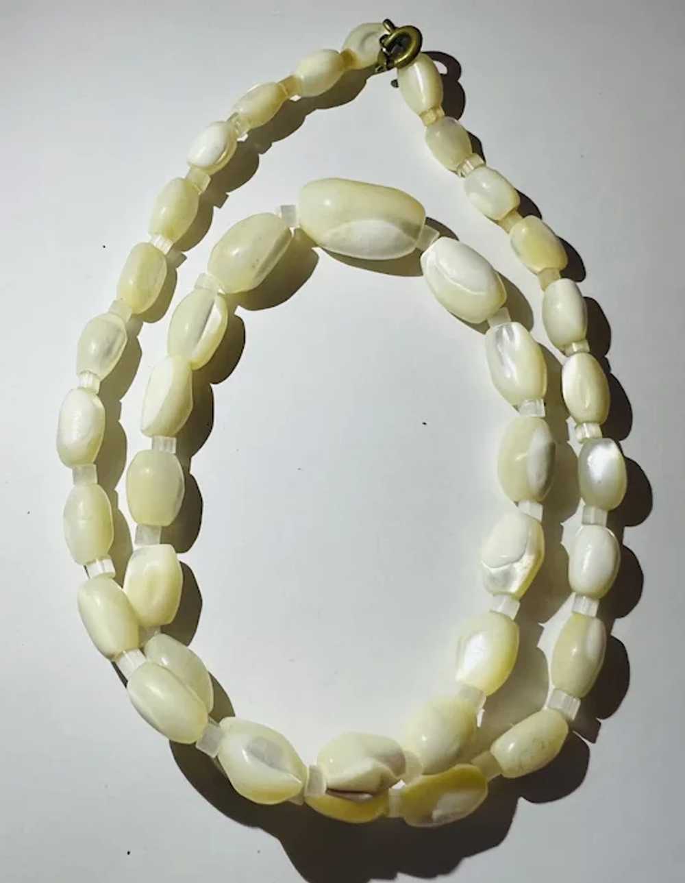 Beautiful Vintage Shell Necklace - image 2