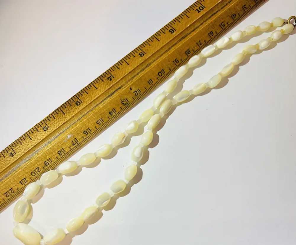 Beautiful Vintage Shell Necklace - image 3