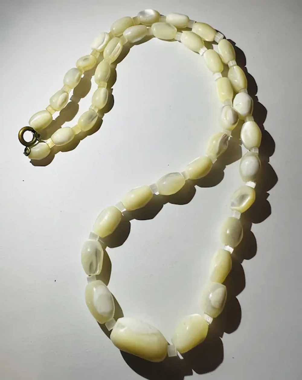 Beautiful Vintage Shell Necklace - image 4