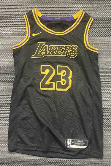 MPLS Lakers LeBron James jersey sz XL. for Sale in Albuquerque