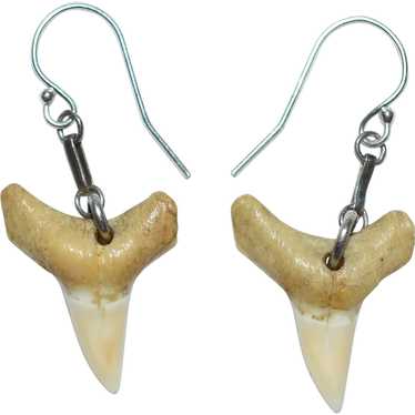 Silver Fossil Shark Tooth Earrings - image 1