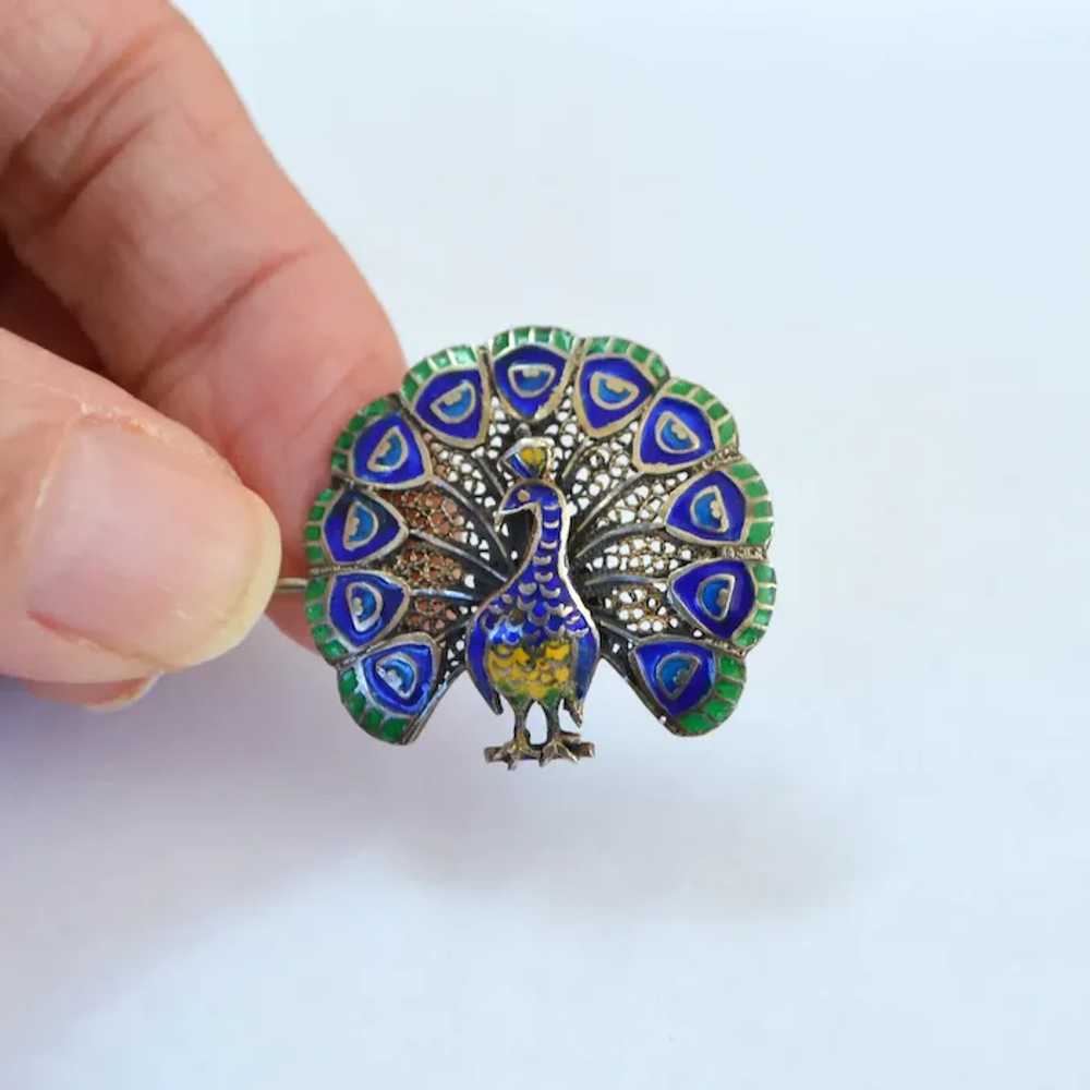 Portugal Silver Peacock Brooch Pin - image 3