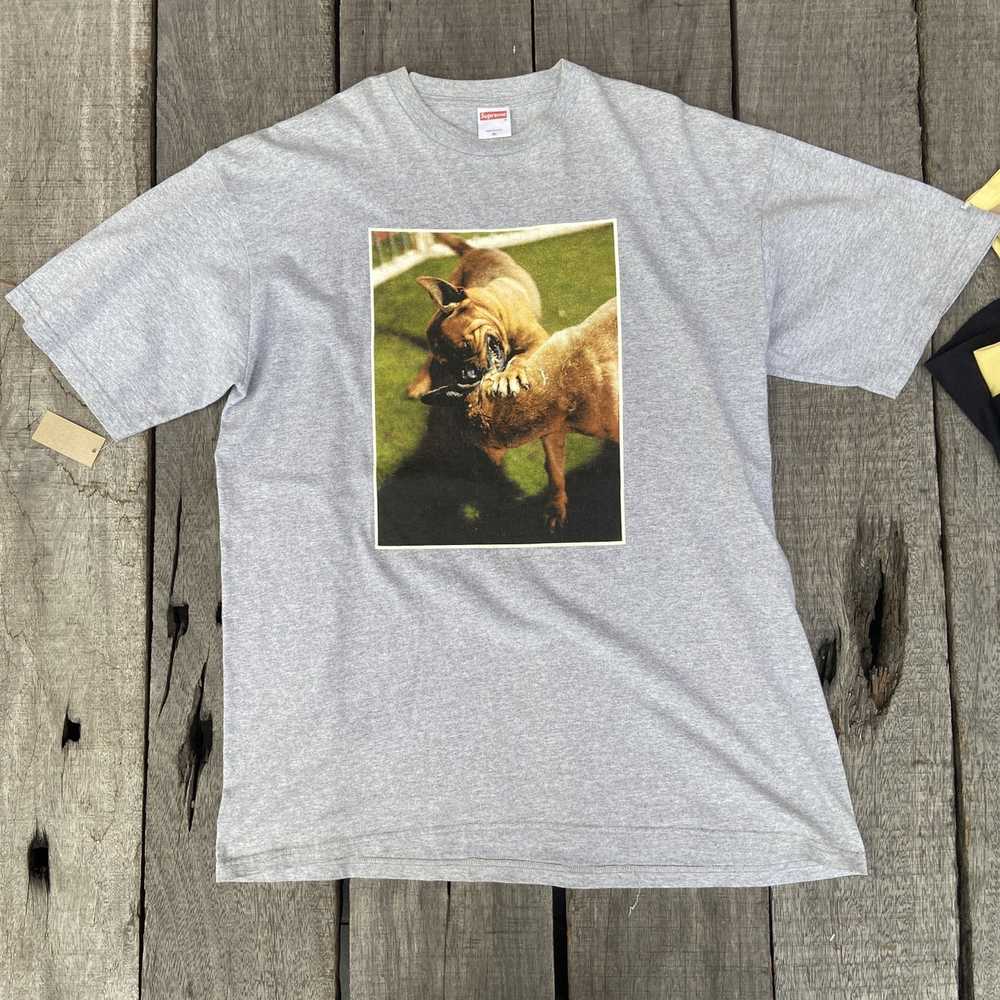 darklordpug Buffalo Reimagined Alternative Fighting Mascot T-Shirt