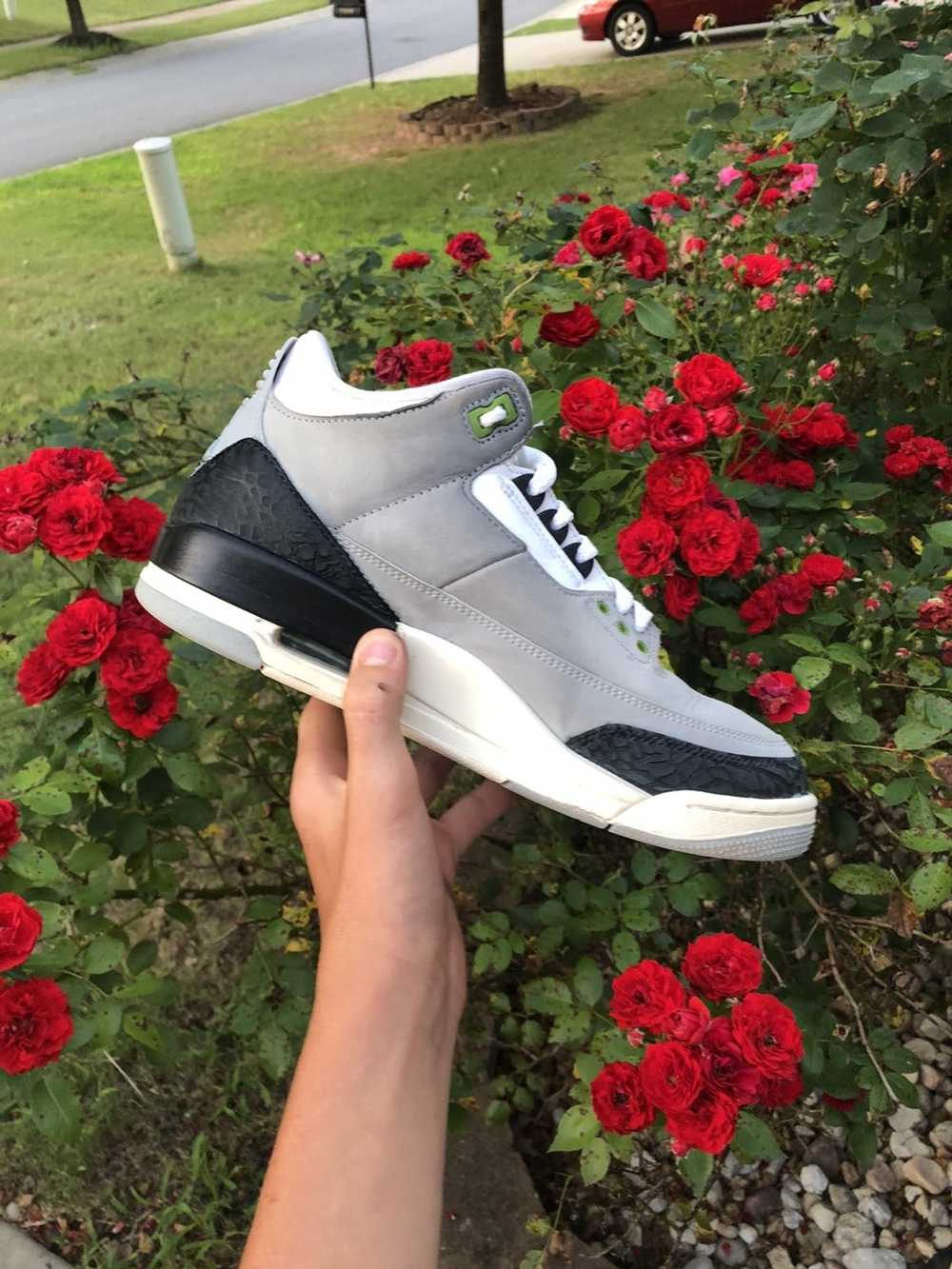 Jordan Brand × Nike Air Jordan 3 Retro Chlorophyl… - image 1