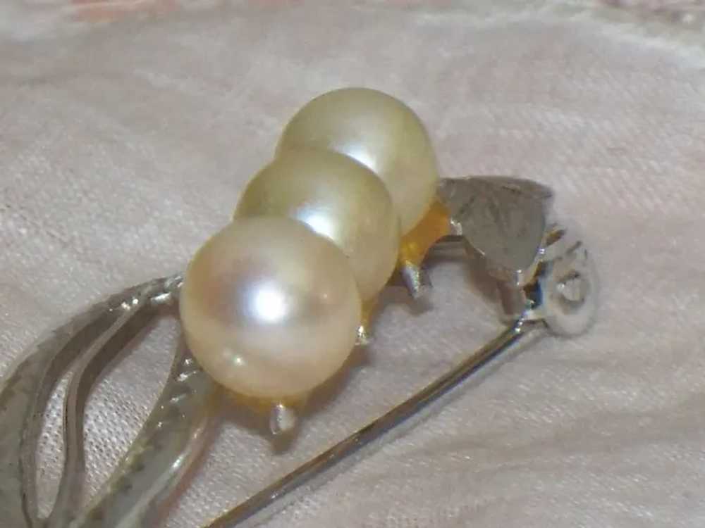 Vintage Cultured Pearl Sterling Silver Leaf Brooc… - image 3