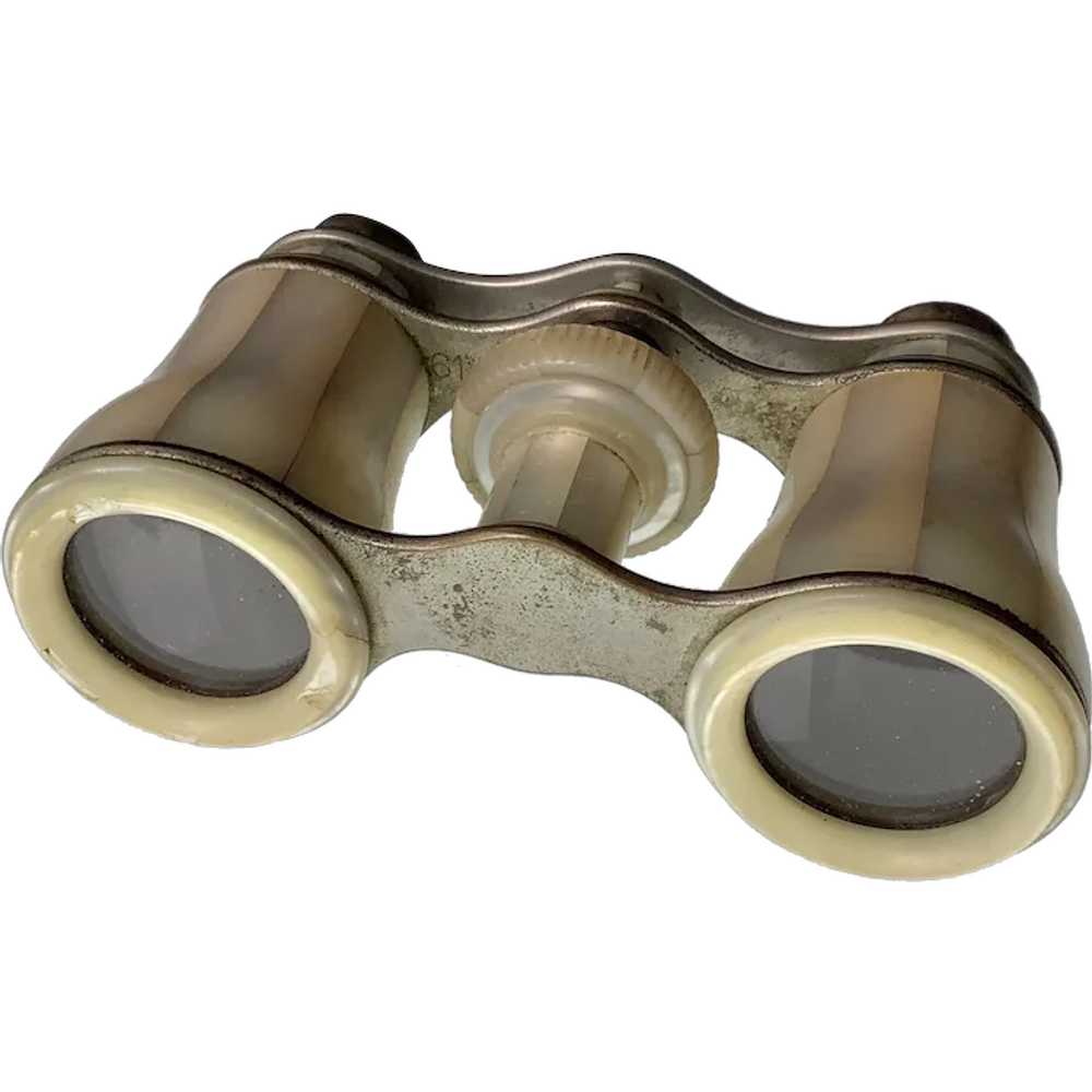 Vintage Opera Glasses, Mother of Pearl - image 1