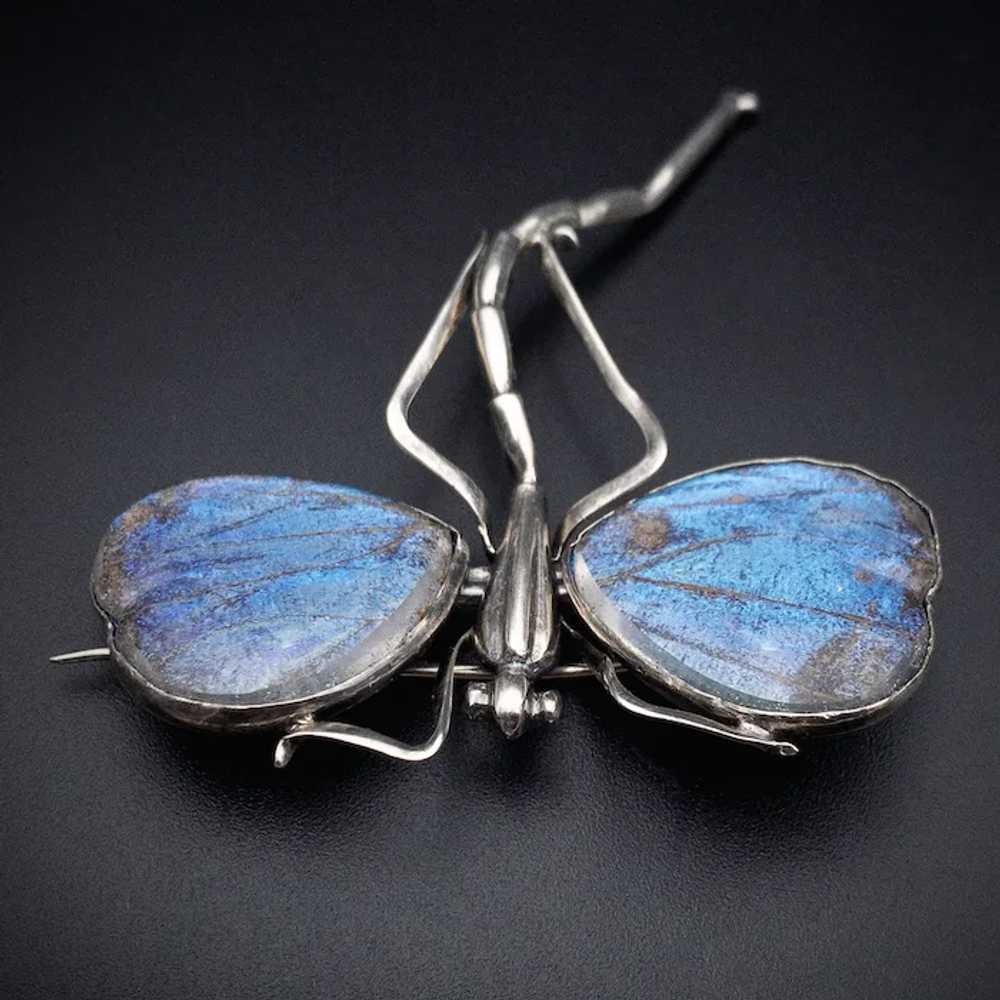 Antique Art Nouveau Silver & Blue Morpho Butterfl… - image 3