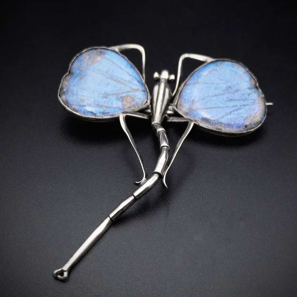 Antique Art Nouveau Silver & Blue Morpho Butterfl… - image 4