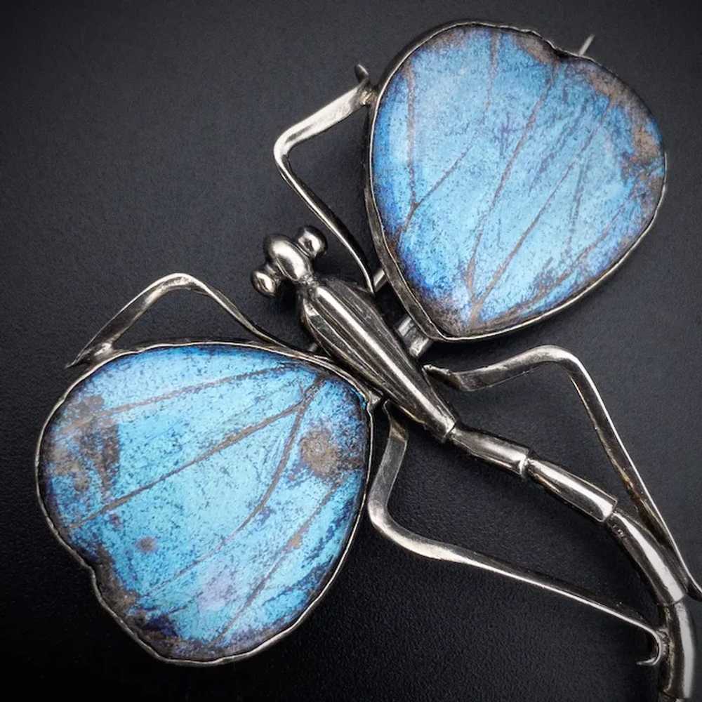 Antique Art Nouveau Silver & Blue Morpho Butterfl… - image 5