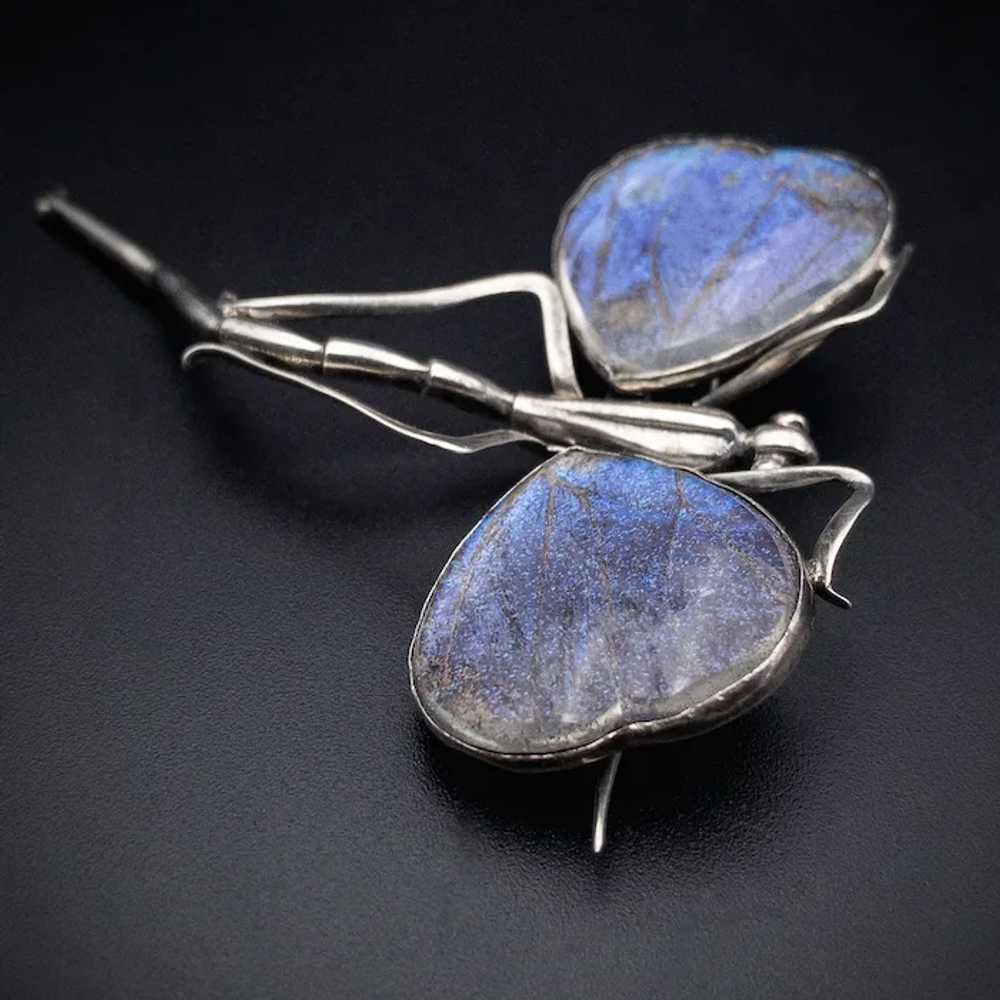 Antique Art Nouveau Silver & Blue Morpho Butterfl… - image 6