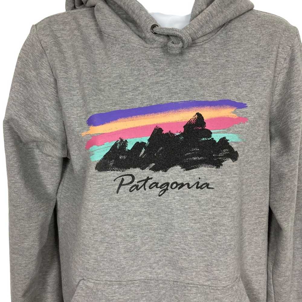 Patagonia Patagonia Free Hand Fitz Roy Ahnya Hood… - image 1