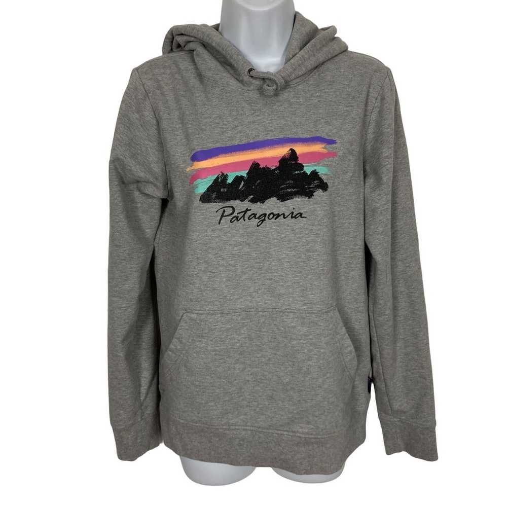 Patagonia Patagonia Free Hand Fitz Roy Ahnya Hood… - image 2