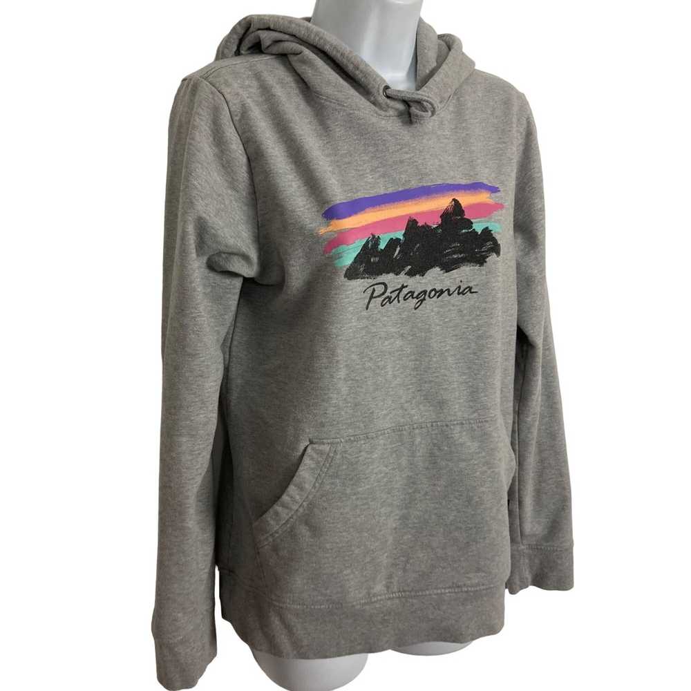 Patagonia Patagonia Free Hand Fitz Roy Ahnya Hood… - image 3