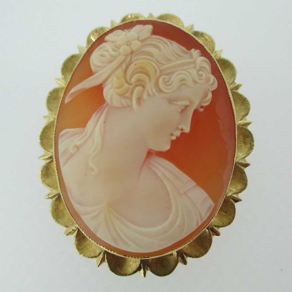 14k Yellow Gold Conch Shell Cameo Pendant Brooch … - image 1