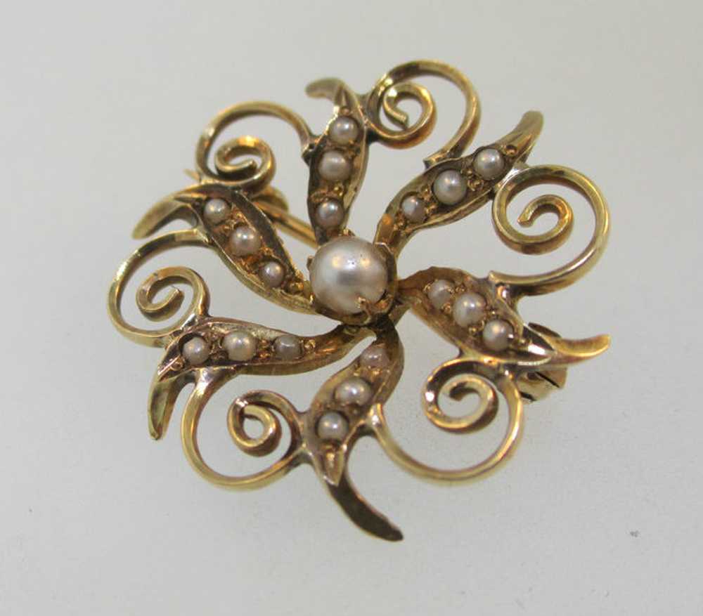 10k Yellow Gold Seed Pearl Brooch - image 1