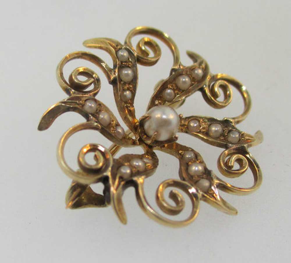 10k Yellow Gold Seed Pearl Brooch - image 3