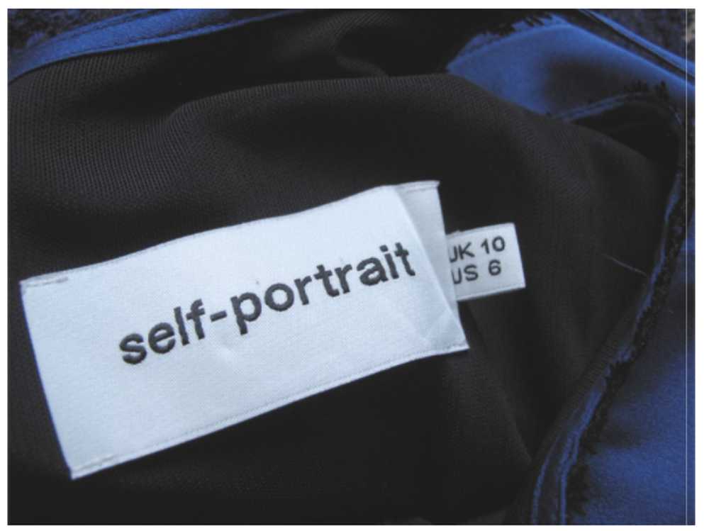 Self Portrait Self-Portrait Delphinium Satin & Gu… - image 3