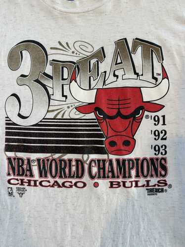Vintage Chicago Bulls T Shirt 1993 Championship 3 Peat 1990s Medium Jordan  NBA