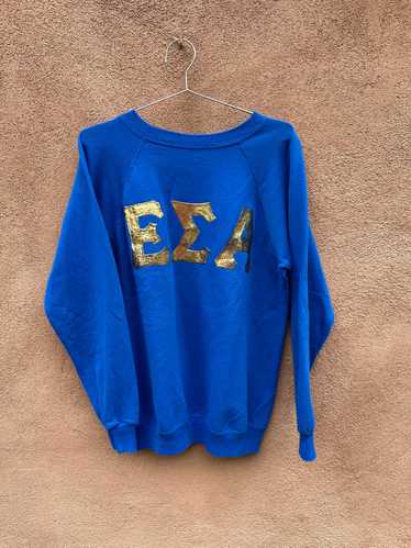 Epsilon Sigma Alpha Sweatshirt - image 1