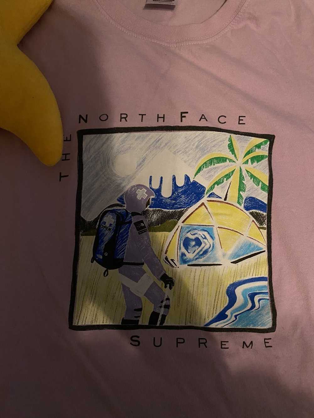 Supreme × The North Face Supreme x North Face Ske… - image 3