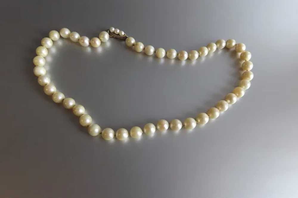 Vintage 14K Gold Clasp Pearl Necklace - image 2