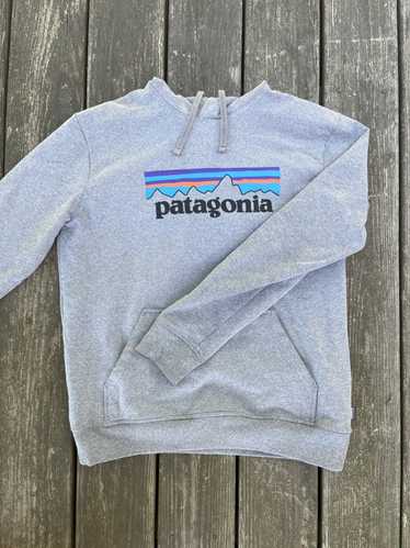 Patagonia Grey Patagonia Hoodie